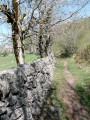 Aubrac : sentiers typiques