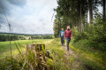 Waldpfade und Wasserblicke in Carlsfeld