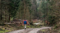 Auf dem Weg