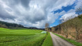 Auf dem Weg