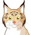 AureLynx