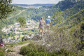 Ausblick nach Honau
