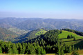 Le sommet du Belchen (sentier thématique)