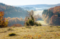 Hochgehberge - Tour "hochgehhütet" : Sentier de randonnée premium au Beutenlay