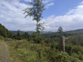 Über den Druidensteig und den Hellerhöhenweg zum Silbersee