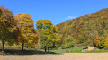 Automne route de Saint Sixte Automne route de Saint Sixte