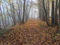 La Butte de Tous Vents, les Bois du Marais et Mal Acquis