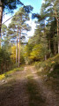 Automne