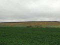 autour des vignes