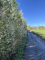 Autour du champ de bataille de Waterloo