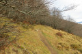 Autour du Kastelberg
