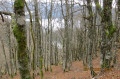 Autour du Kastelberg