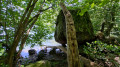 Around Lake Alfeld