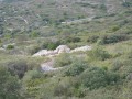 Autre cabane en pierres sèches Autre cabane en pierres sèches