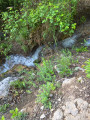 autre Cascades