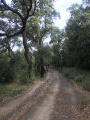 autre chemin