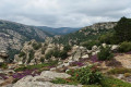 La Forêt des Écrivains Combattants, le Cap des Agasses et le Conil