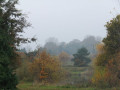 Autumn colours across Bromeswell lakes