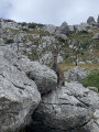 Aux aguets