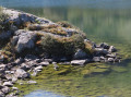Rocky outcrop jutting into the pond