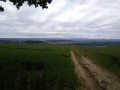 Avant de rentrer dans la forêt.