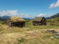 Les orris de Goutets