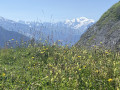 Avant la montée sur la crête, vue sur le Mont-Blanc