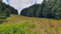 Avant le col de l'Alienard