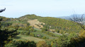 Avant le col de Montfuron