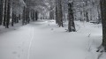 Avant le Rossberg