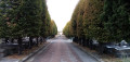 Avenue centrale