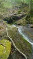 La résurgence d'Aygo Blanco en forêt de Très Crouts