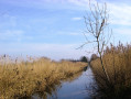 Aylesbury to Berkhamsted