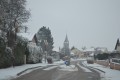 Azelot sous la neige