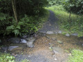 Bachlauf