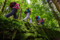 Bad Peterstal-Griesbach - Himmelssteig für "Höhenverliebte" Bad Peterstal-Griesbach - Himmelssteig für "Höhenverliebte"