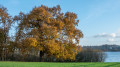 Badestelle am Trammer See