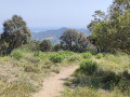 Baie de Saint-Tropez au loin