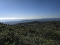 Baie des Anges