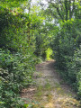Stroll along the Bourdic river in Aubussargues.