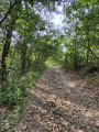 Stroll along the Bourdic river in Aubussargues.
