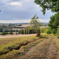 Balade champ&ecirc;tre
