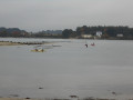 La Rivière d'Étel et Saint Cado La Rivière d'Étel et Saint Cado