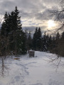 Balade en raquettes en Forêt du Risoux