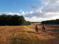 Plaines du Donziais à partir de Cosne-Cours-sur-Loire