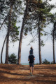 Balade entre les pins