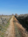 Balade entre terres et ruisseaux