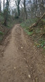 Le Bois des Côtes