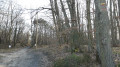 Balisage du GR de pays des Yvelines
