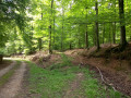 Bifurcation N°4 Bifurcation N°4